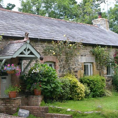 Trewassick Barn Bed & Breakfast New Quay Eksteriør bilde